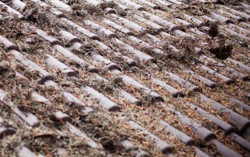 Kirkton Of Lethendy roof cleaning companies