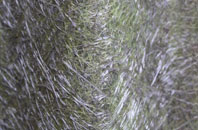 Kirkton Of Lethendy fibreglass roof work